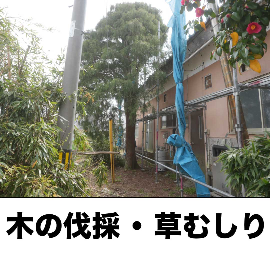 木の伐採・草むしり